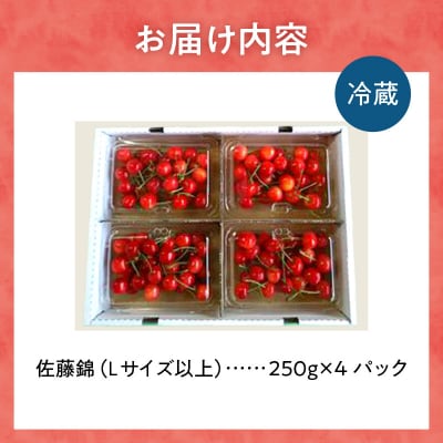 【先行受付:2026年6月下旬以降発送】さくらんぼ【佐藤錦】1kg_Y127-0014