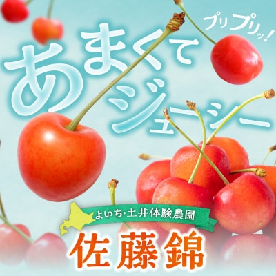 【先行受付:2026年6月下旬以降発送】さくらんぼ【佐藤錦】1kg_Y127-0014