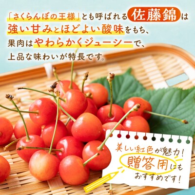 【先行受付:2026年6月下旬以降発送】さくらんぼ【佐藤錦】1kg_Y127-0014