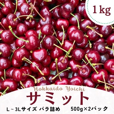 【2026年産 先行受付】北海道余市産 さくらんぼ「サミット」500g×2パック_Y103-0056
