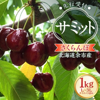 【2026年産 先行受付】北海道余市産 さくらんぼ「サミット」500g×2パック_Y103-0056