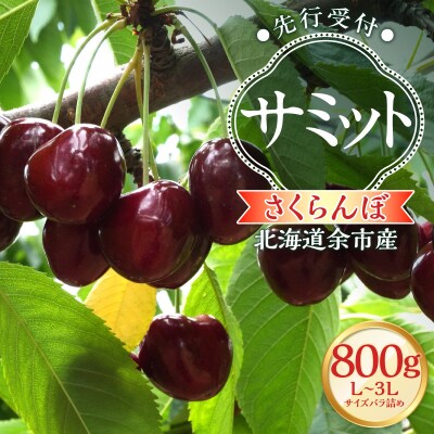 【2026年産 先行受付】北海道余市産 さくらんぼ「サミット」400g×2パック_Y103-0069