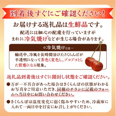 【2026年産 先行受付】北海道余市産 さくらんぼ「サミット」400g×2パック_Y103-0069