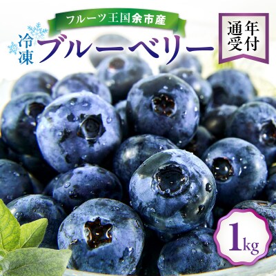 フルーツ王国余市産 冷凍ブルーベリー 1kg 【ニトリ観光果樹園】_Y074-0093