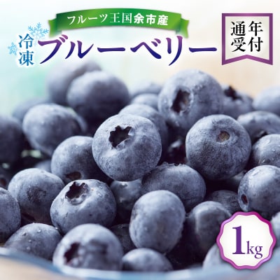 冷凍ブルーベリー 1kg 【ニトリ観光果樹園】_Y074-0149