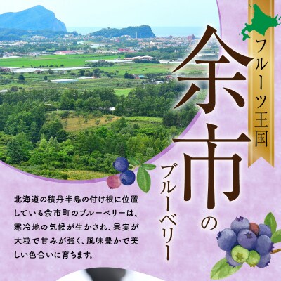 フルーツ王国余市産 冷凍ブルーベリー 1kg 【ニトリ観光果樹園】_Y074-0093