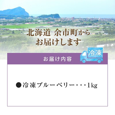 フルーツ王国余市産 冷凍ブルーベリー 1kg 【ニトリ観光果樹園】_Y074-0093