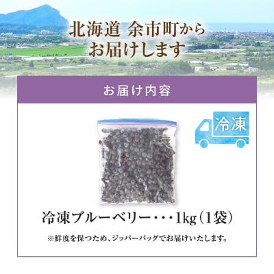 冷凍ブルーベリー 1kg 【ニトリ観光果樹園】_Y074-0149