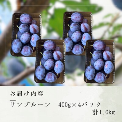 【先行受付:2024年10月上旬以降発送】余市産 サンプルーン 1.6kg_Y067-0079