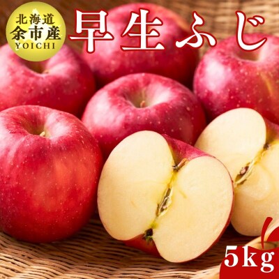【先行受付:2025年10月下旬以降発送】余市産 早生ふじ  5kg_Y067-0197