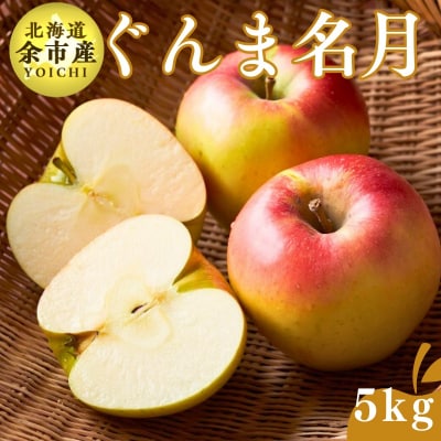 【先行受付:2025年11月上旬以降発送】余市産 ぐんま名月 5kg_Y067-0198