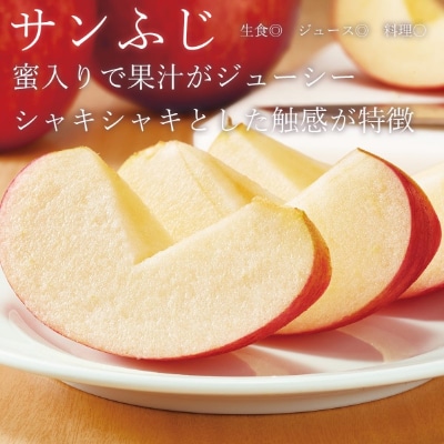 【先行受付:2025年12月下旬以降発送】余市産 ふじ&王林 5kg_Y067-0200