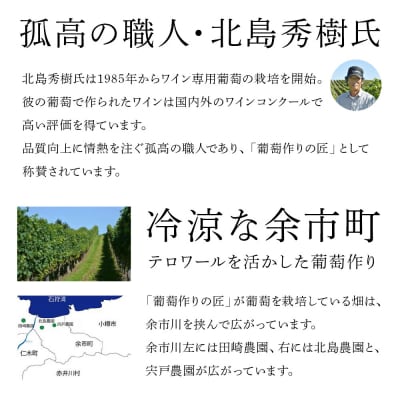 葡萄作りの匠 北島秀樹ピノ・ノワール ブラン・ド・ノワール2023 2本_Y020-0653