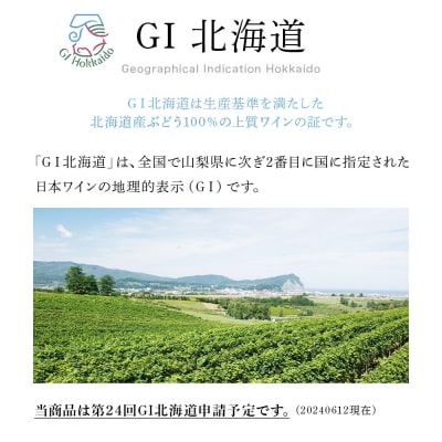 葡萄作りの匠 北島秀樹ピノ・ノワール ブラン・ド・ノワール2023 2本_Y020-0653