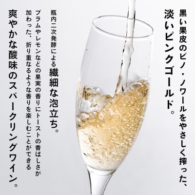 数量限定!エヌ・ワイ・ブイ余市ピノ・ノワール・スパークリング2021 750mL_Y020-0656