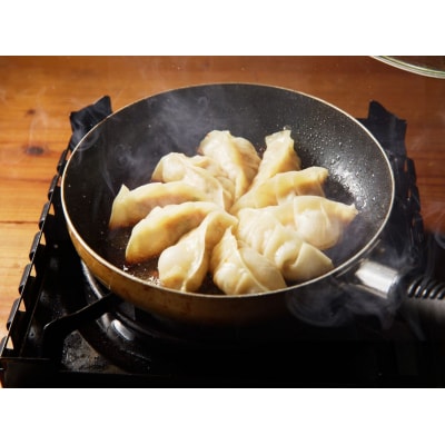 かねしち特製　冷凍肉餃子 80個(1パック10個入り 2パックで1セット×4)_Y109-0005