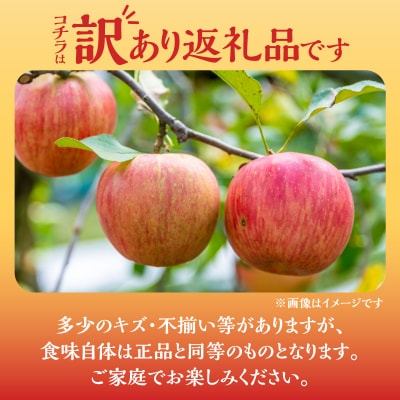 【2025年11月下旬より発送】フルーツ王国余市産訳あり「ふじ」5kg_Y074-0154