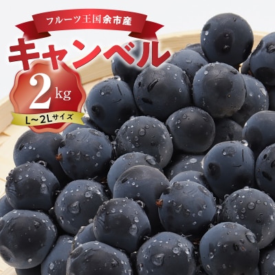 【先行受付】フルーツ王国余市産「キャンベル」2kg【ニトリ観光果樹園】_Y074-0124