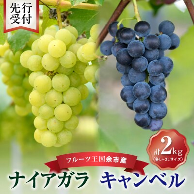 【先行受付】フルーツ王国余市産「ナイアガラ・キャンベル」2kg【ニトリ果樹園】_Y074-0126