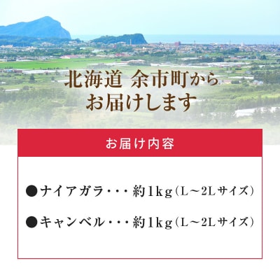 【先行受付】フルーツ王国余市産「ナイアガラ・キャンベル」2kg【ニトリ果樹園】_Y074-0126