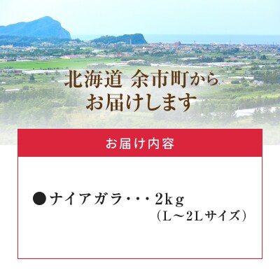 【先行受付】フルーツ王国余市産「ナイアガラ」2kg【ニトリ観光果樹園】_Y074-0125