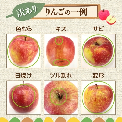 【2025年11月下旬以降発送】訳あり りんご(ふじ)3kg_Y010-0353