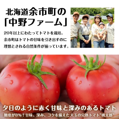 セコマ 北海道余市町産 完熟トマト酎ハイ 350ml×24本_Y020-0663