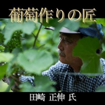 【余市】葡萄作りの匠 木樽熟成ワインセット【北海道】_Y034-0095