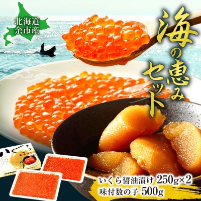 【年末年始の贈答品・おせち料理にぴったり】北海道産「いくら醤油漬け500グラム_Y006-0039