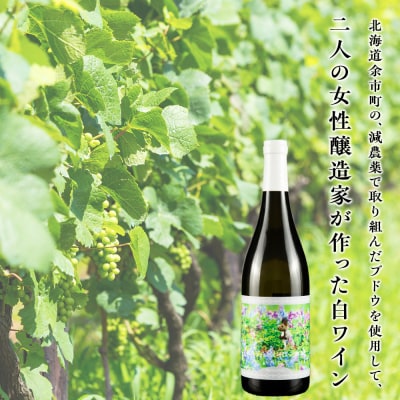 【数量限定】かたくり リザーブ 2022 1本 白ワイン_Y020-0667