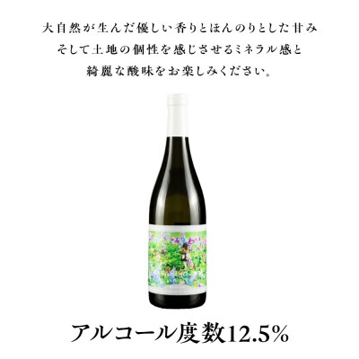 【数量限定】かたくり リザーブ 2022 1本 白ワイン_Y020-0667