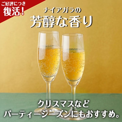 セコマ 北海道余市産 ナイアガラソーダ 500ml 24本入　炭酸飲料_Y020-0714