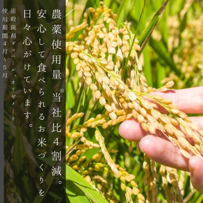 令和6年産 木露ファーム 余市産ゆめぴりか 玄米 3kg_Y067-0226