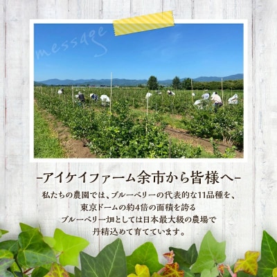 【2026年11月以降発送】冷凍ブルーベリー 500g×2袋(チャック付き袋)_Y111-0007