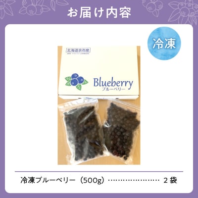 冷凍ブルーベリー 500g×2袋(チャック付き袋)_Y111-0007