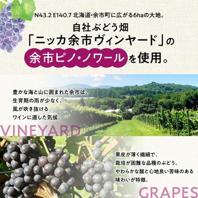 北海道限定 N・Y・V余市ピノ・ノワール2022 750ml 1本_Y090-0037