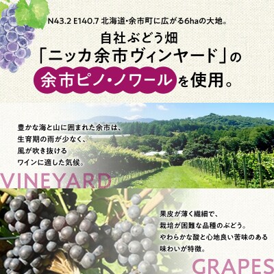 北海道限定 N・Y・V余市ピノ・ノワール2022 750ml 1本_Y090-0037
