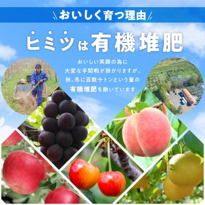 【先行受付】フルーツ王国余市産「旅路」2kg【ニトリ観光果樹園】_Y074-0127