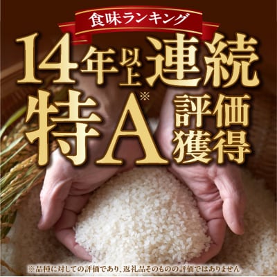 北海道産 ななつぼし10kg_Y138-0012