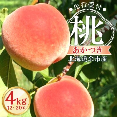 【2025年8月下旬より発送】桃「あかつき」4kg(12～20玉)_Y103-0016