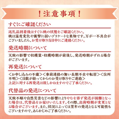 【2025年8月下旬より発送】桃「あかつき」4kg(12～20玉)_Y103-0016