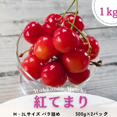 【2025年7月より発送】<北海道余市産>さくらんぼ紅てまり500g×2_Y103-0018