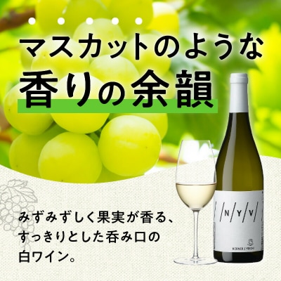 【数量限定&北海道限定】N・Y・V(エヌ・ワイ・ブイ)　余市ケルナー　2本セット_Y090-0015