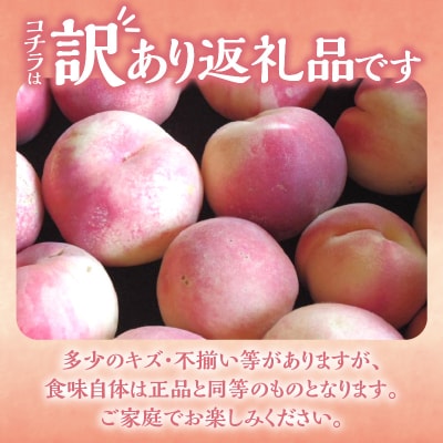 【先行受付2025年8月下旬より発送】訳アリ桃「あかつき」4kg(12～20玉)_Y103-0023