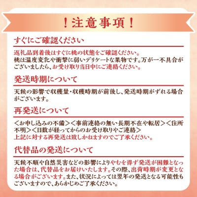 【先行受付2025年8月下旬より発送】訳アリ桃「あかつき」4kg(12～20玉)_Y103-0023