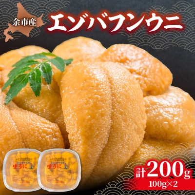 【先行受付:2026年6月以降発送】余市産「塩水うに(エゾバフンウニ)」_Y006-0036