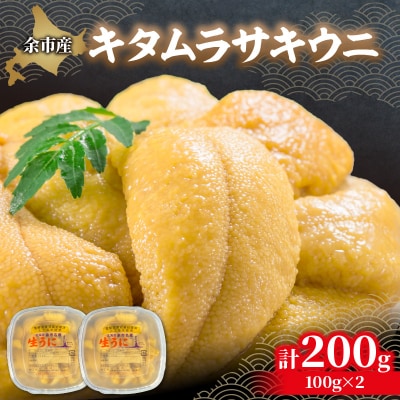 【先行受付:2026年6月以降発送】余市産「塩水うに(キタムラサキウニ)」_Y006-0035