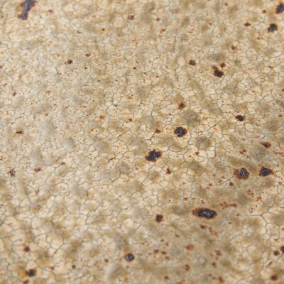 ヒビ粉引き プレート　作家:馬渡 新平_Y020-0588