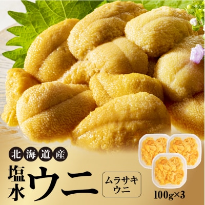 【先行受付】北海道産 塩水ウニ(ムラサキ)300g_Y038-0144