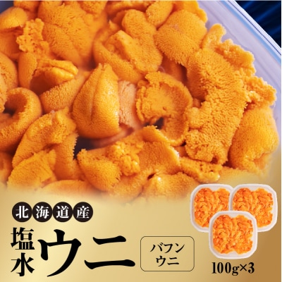 【先行受付】北海道産 塩水ウニ(バフン)300g_Y038-0146